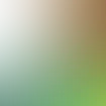 blurhash of the original image