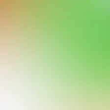 blurhash of the original image