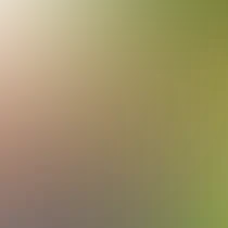 blurhash of the original image
