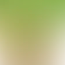 blurhash of the original image
