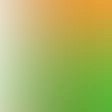 blurhash of the original image