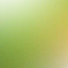 blurhash of the original image