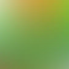 blurhash of the original image