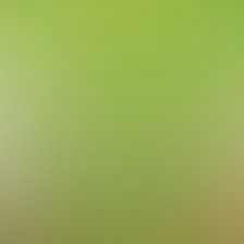 blurhash of the original image