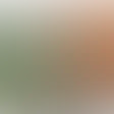 blurhash of the original image