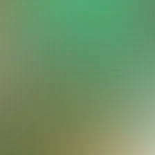 blurhash of the original image