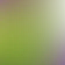 blurhash of the original image