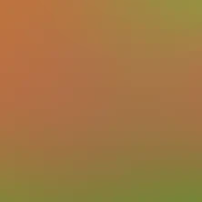 blurhash of the original image