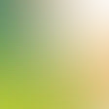 blurhash of the original image