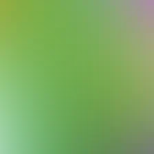 blurhash of the original image