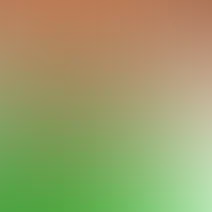 blurhash of the original image