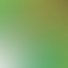 blurhash of the original image