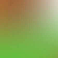 blurhash of the original image