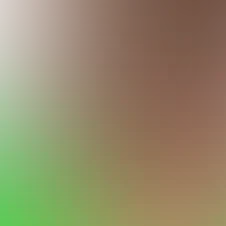 blurhash of the original image