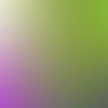 blurhash of the original image
