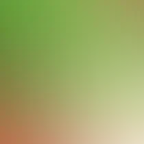 blurhash of the original image