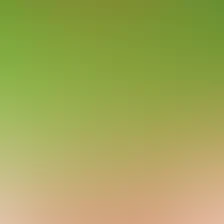 blurhash of the original image