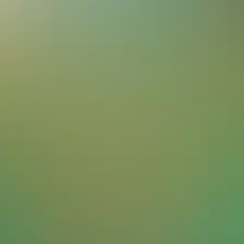 blurhash of the original image