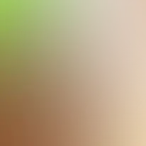 blurhash of the original image