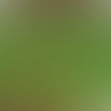 blurhash of the original image