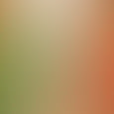 blurhash of the original image