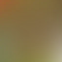 blurhash of the original image