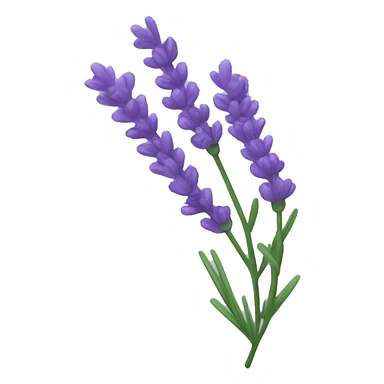 a sprig of lavender sticker