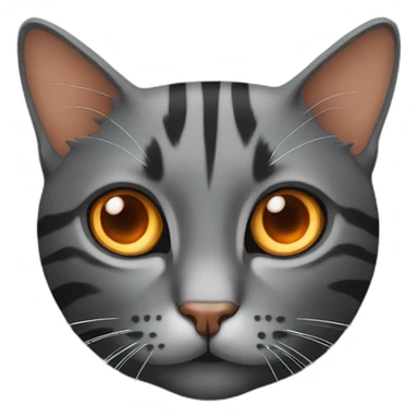 Cat dark grey with stripes and with orange eyes and sticker