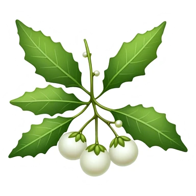 Mistletoe herb sticker