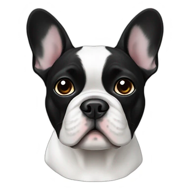 White French bulldog with black sticker