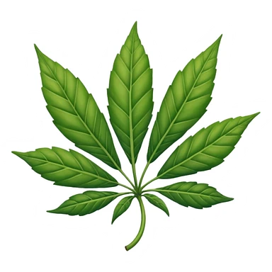 Hoja de mariguana Hoja de mariguana sticker
