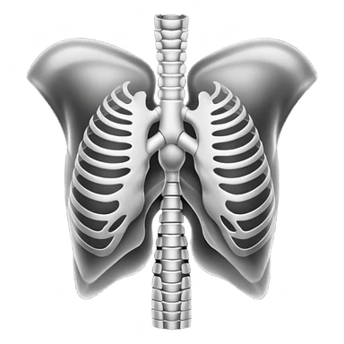 Human Chest X-ray film sticker