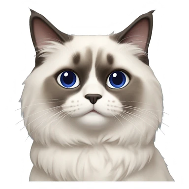ragdoll cat wearing navy blue sweater that says poochina sticker