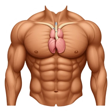 lats muscles tissues  sticker