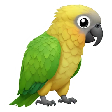 Pineapple green cheek conure eating a nut sticker