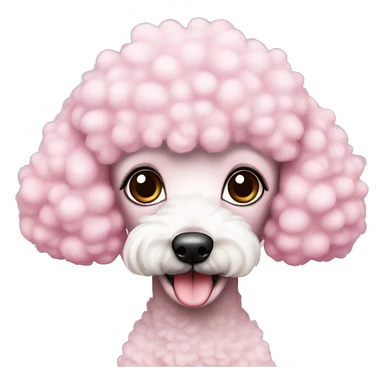 Mini cute pink poodle blanca sticker