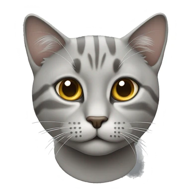 emoji stile apple di un gatto grigio  sticker