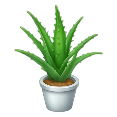 Aloe vera sticker