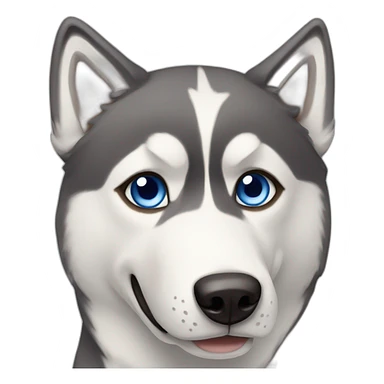 Husky with one blue eye and one brown eye waving sticker