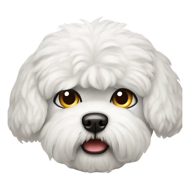 angry looking bichon face sticker