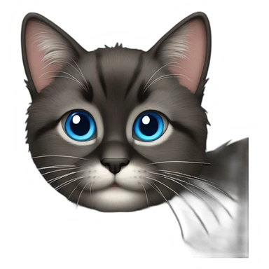 create a black furry cat emoticon with blue eyes that says "have fun!,, sticker