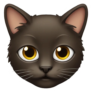 dark-brown-furry-scottish-cat sticker