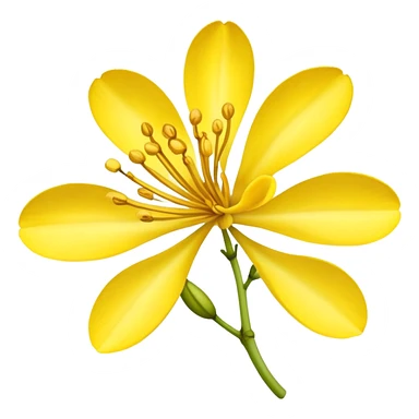 Cassia fistula flower  sticker