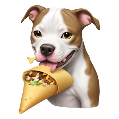 Pit bull dog eating burrito  sticker