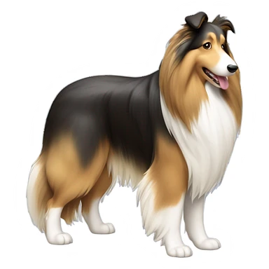 Rough collie sticker