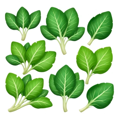 different salad leaves  sticker