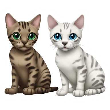 Seal Bengal cat with Blue eyes + charcoal Sepia bengal cat with Green eyes sitting  sticker