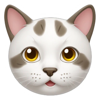 cat Facetiming sticker