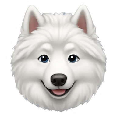 Samoyed husky sticker