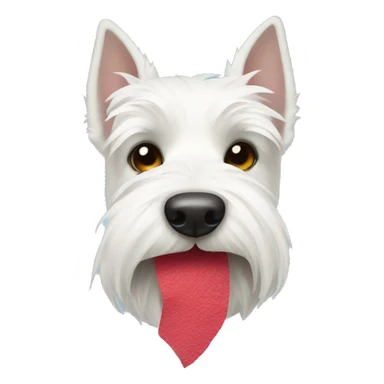 White Scottish terrier face with tissue in its mouth sticker